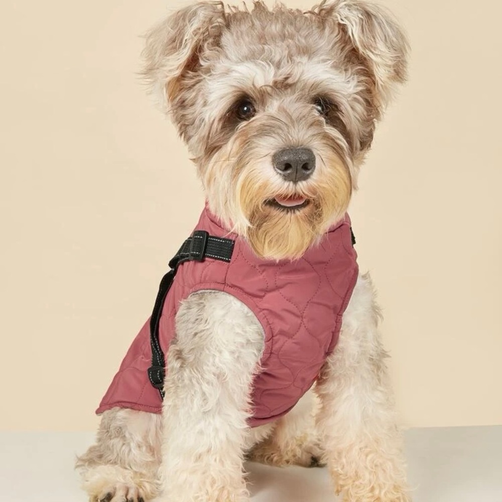 Shein Dog Jacket! New in bag! Size small… for a toy sized dog or small puppy.